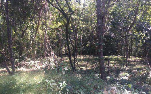 CONDOMINIUM LOT READY TO BUILD!!