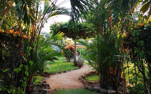 Tiny House │ Tropical Garden │ Esparza