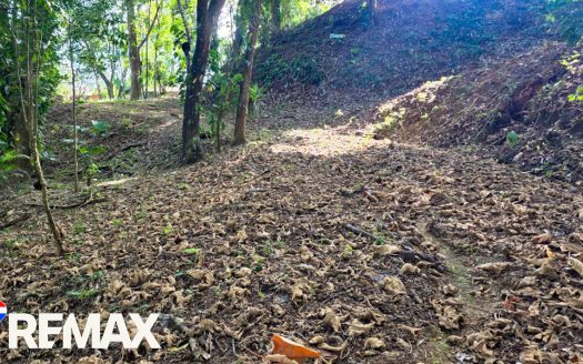 Great Location near Los Suenos | Over 2 hectares