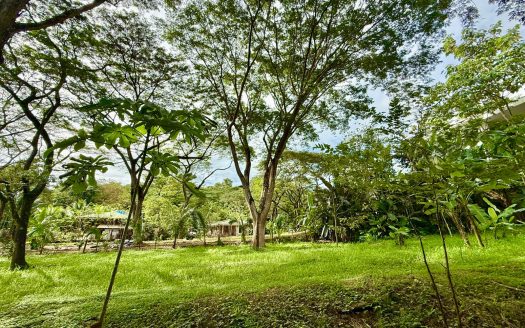 Jungle Haven Lot in Jaco