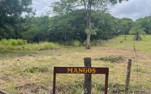 Lots │ Lagunillas │ $30 x m2