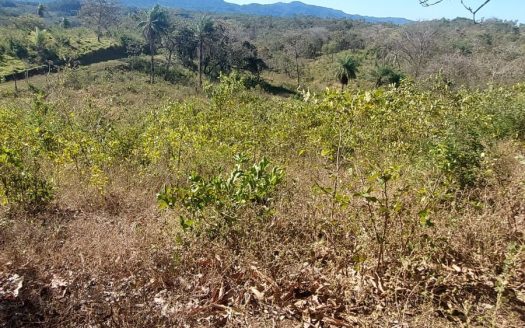 Beautiful farm for Sale