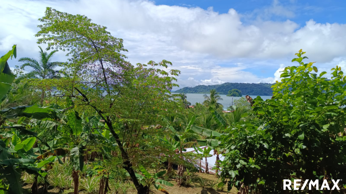 Golfito>Golfito Real Estate Listings 25538