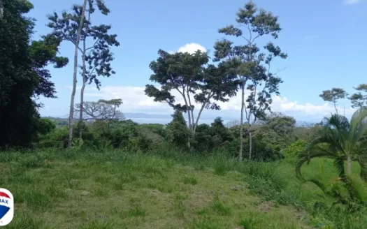 Large Ocean View Parcel