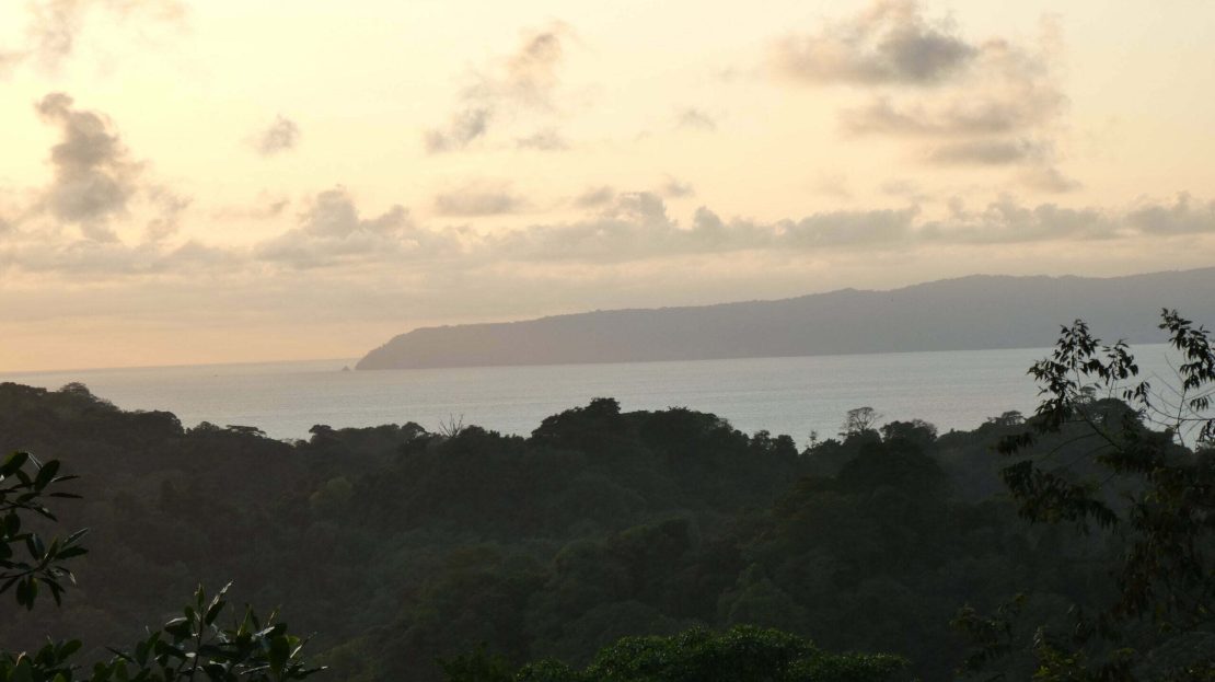 Golfito>Pavones Real Estate Listings 20709