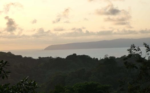 Golfito>Pavones Real Estate Listings 20709