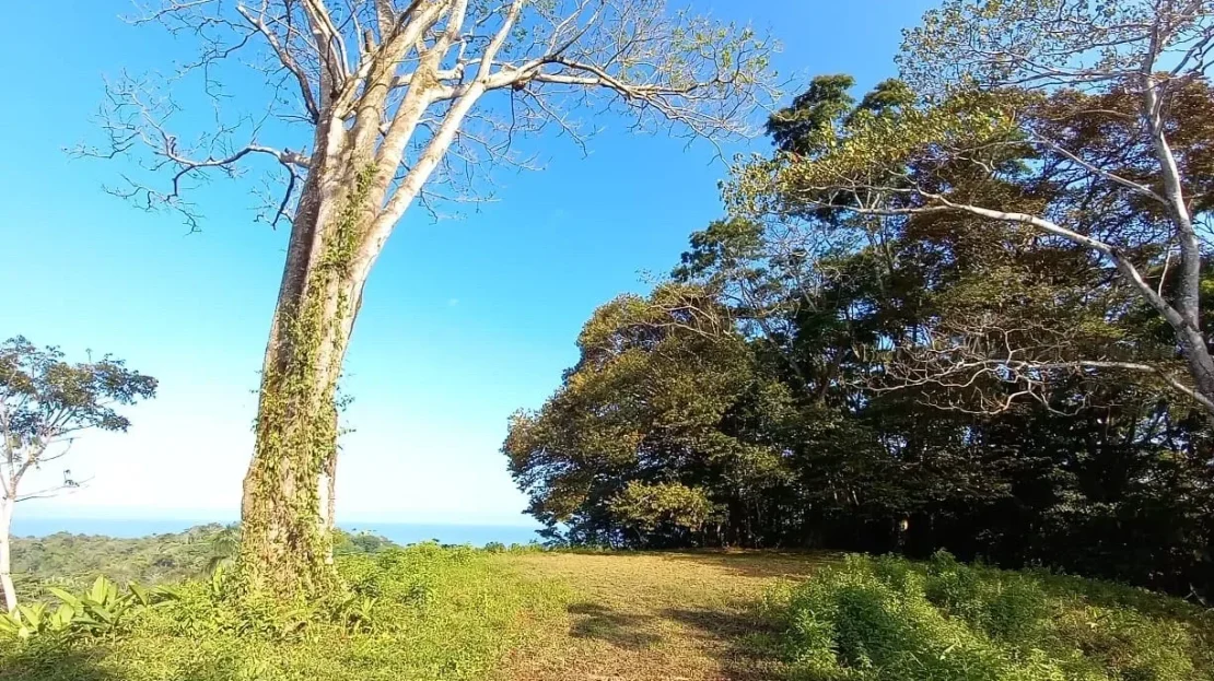 Golfito>Pavones Real Estate Listings 20715