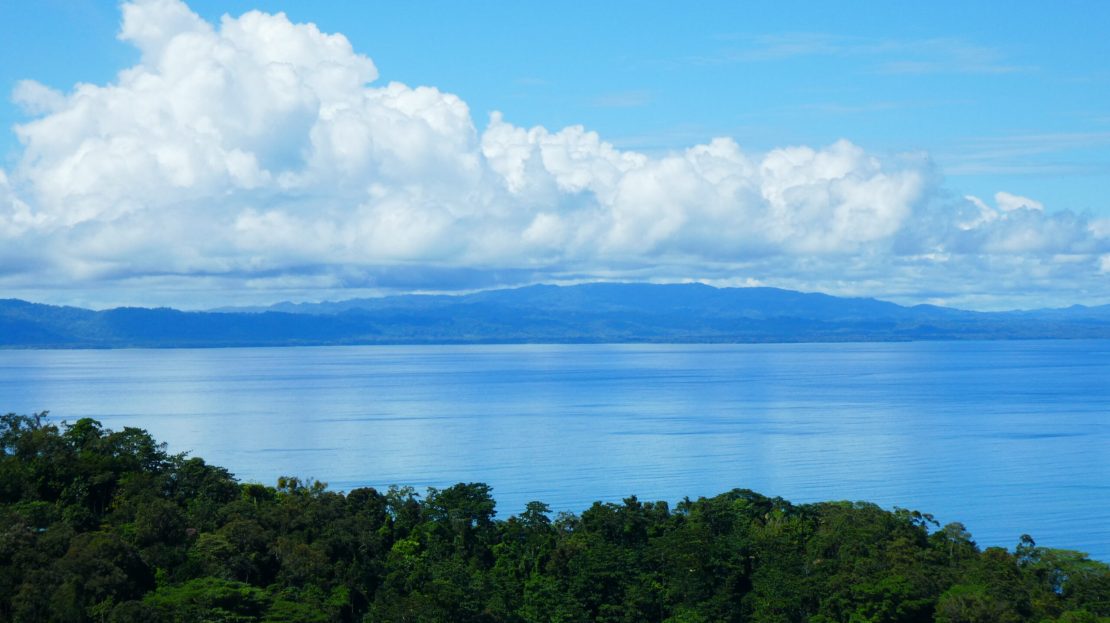 Golfito>Pavones Real Estate Listings 20780