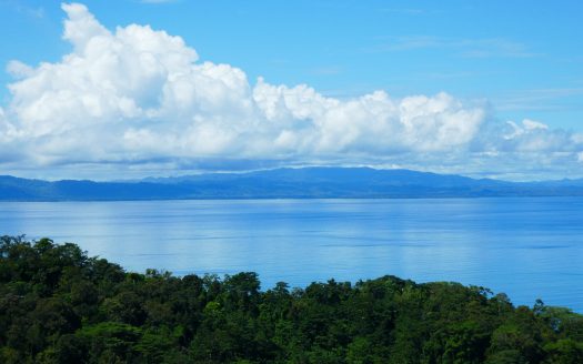 Golfito>Pavones Real Estate Listings 20780