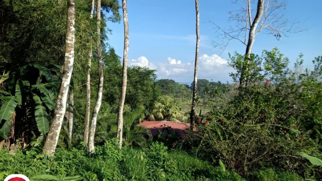 Golfito>Pavones Real Estate Listings 22194