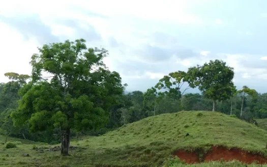 Large Green Hill Lot