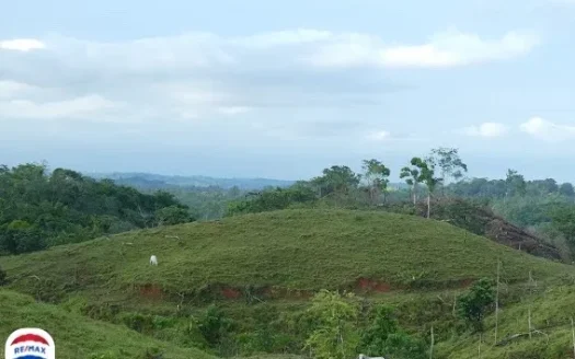 Hill Top Cuervito Lot