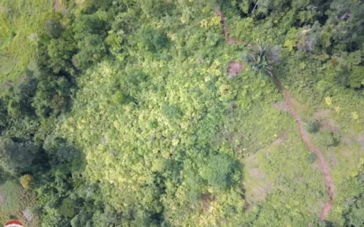 Finca With 360 Golfo Dulce View