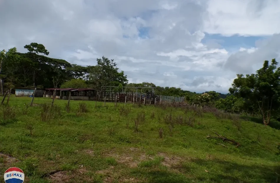 Golfito>Pavones Real Estate Listings 24813