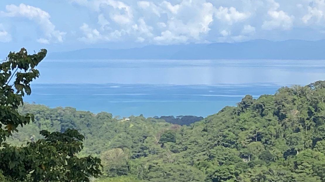 Golfito>Pavones Real Estate Listings 26113