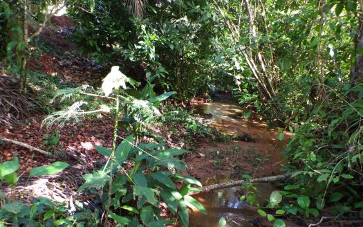 Agricultural and Development Paradise Farm
