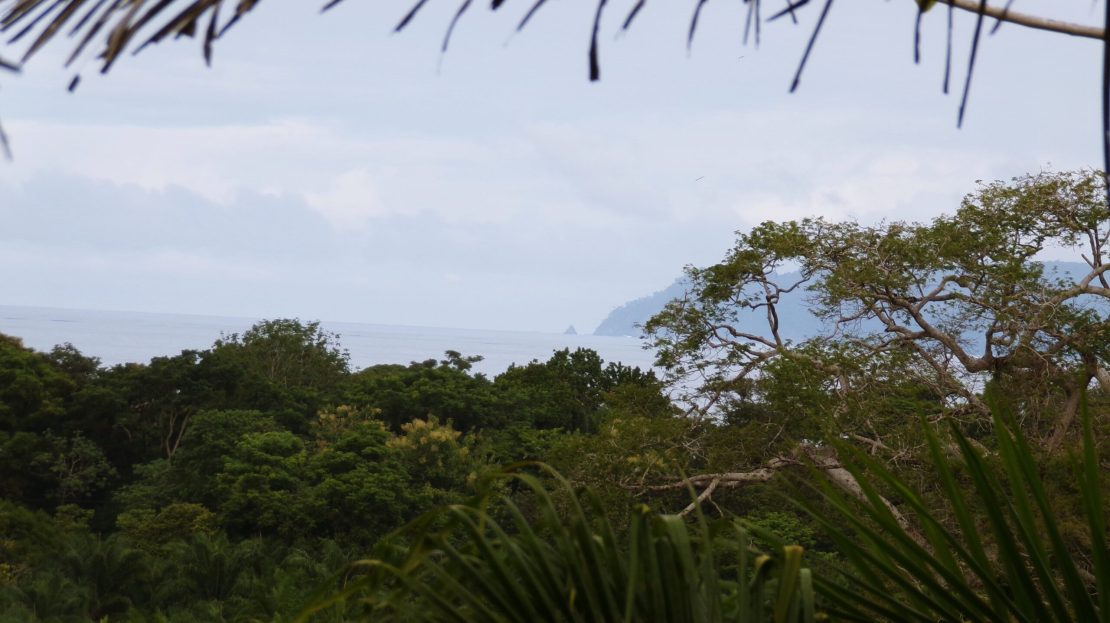 Golfito>Pavones Real Estate Listings 26253