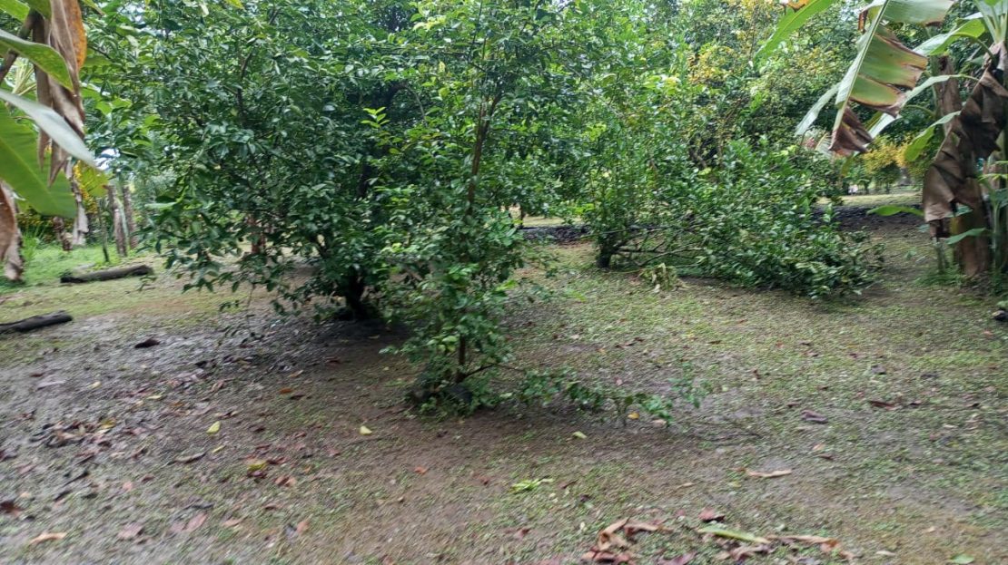 Golfito>Pavones Real Estate Listings 30333