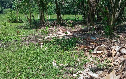 Golfito>Pilón Real Estate Listings 27064