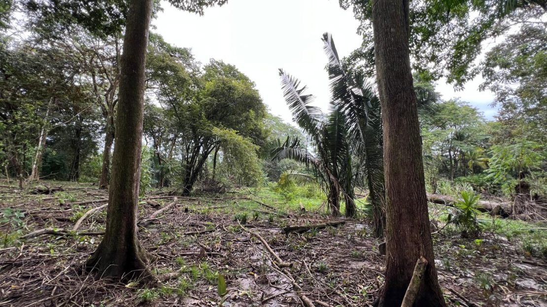 Golfito>Rio Claro de Pavones Real Estate Listings 30238