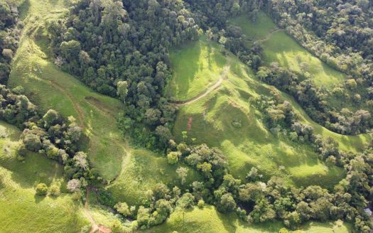 Farm for Sale in San Marcos de Barú, Pérez Zeledón