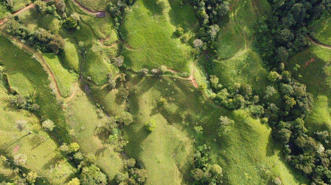 Farm for Sale in San Marcos de Barú