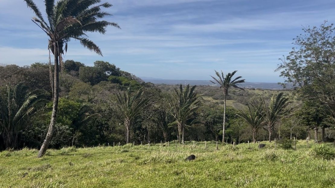 Costa Rica Real Estate