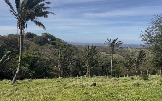 Farm for Sale in Quebrada Grande, Liberia – Guanacaste, Costa Rica