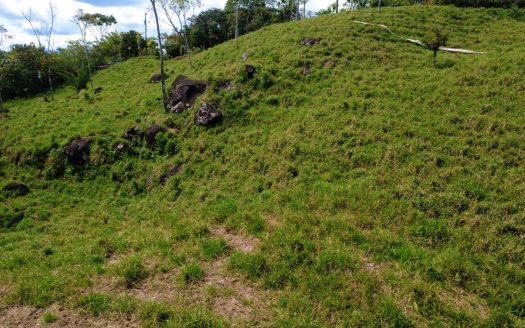 10,000m2 Property in Miraflores Pérez Zeledón – Build-Ready Land with Creek & Fresh Climate