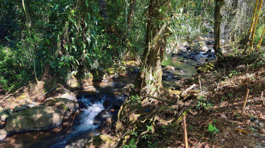 Costa Rica Real Estate