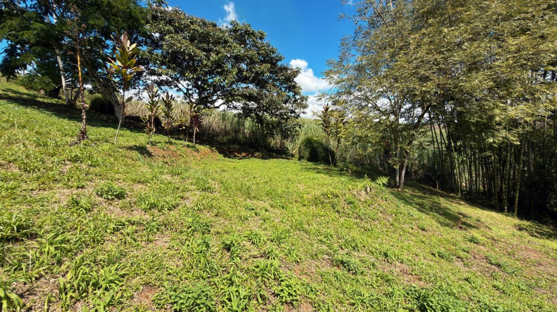 Land for Sale in Santa Cecilia