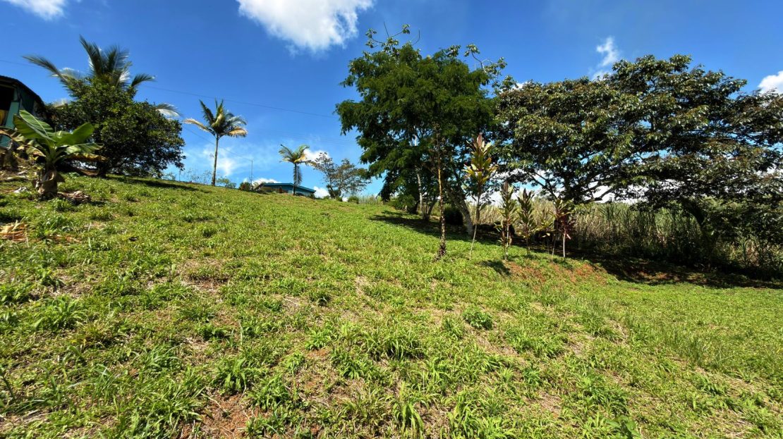 San Pedro – Pérez Zeledón | Excellent Price & Prime Location