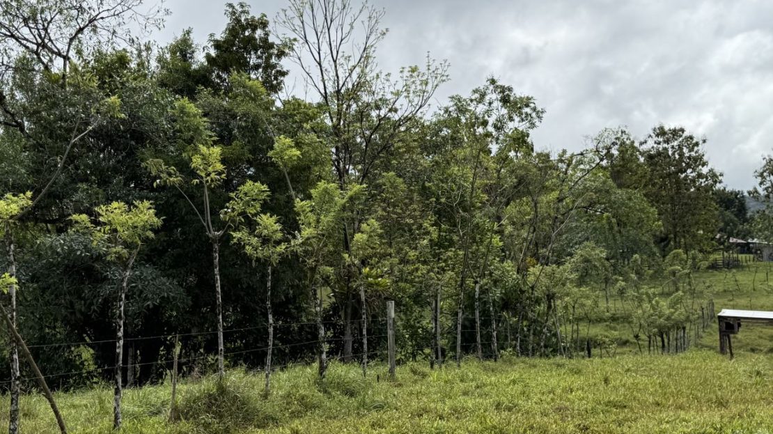 Lagoon of the Valley