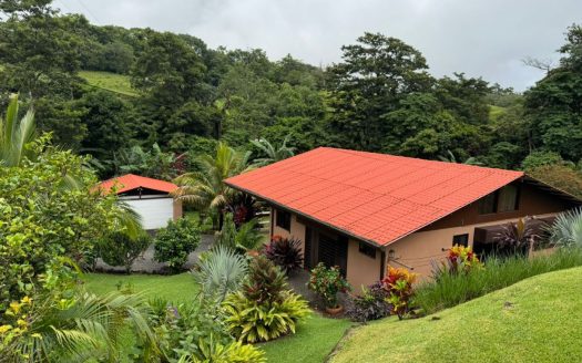 Eco friendly cozy home