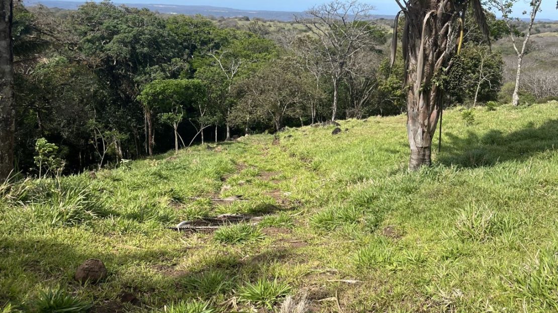 Farm for Sale in Quebrada Grande