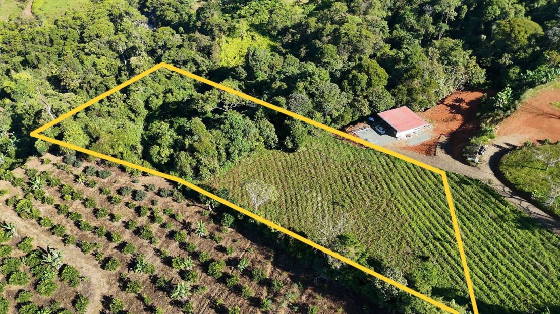 Costa Rica Real Estate