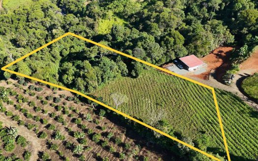 Land for Sale in the heart of Santa Elena with beautiful mountain Views, Private Forest and River Access.