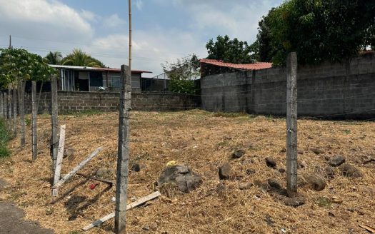 Corner Lot (Los Olivos San Isidro Miramar)