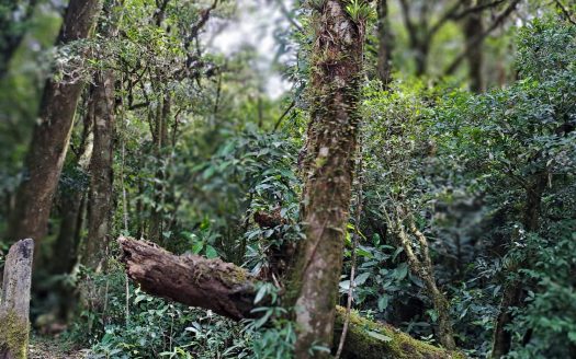 Farm beautiful Miramar