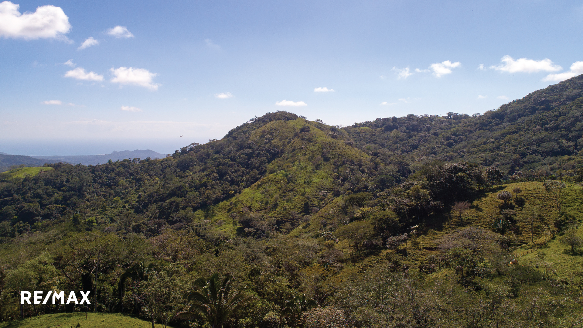 Gallery Detail: Off Grid Farm Retreat Land Banking Opportunity