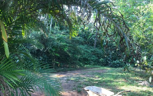 Orotina For Sale 23131 | RE/MAX Costa Rica Real Estate