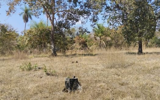 Lot | la Ceiba | Ocean view | Ready for BUILD