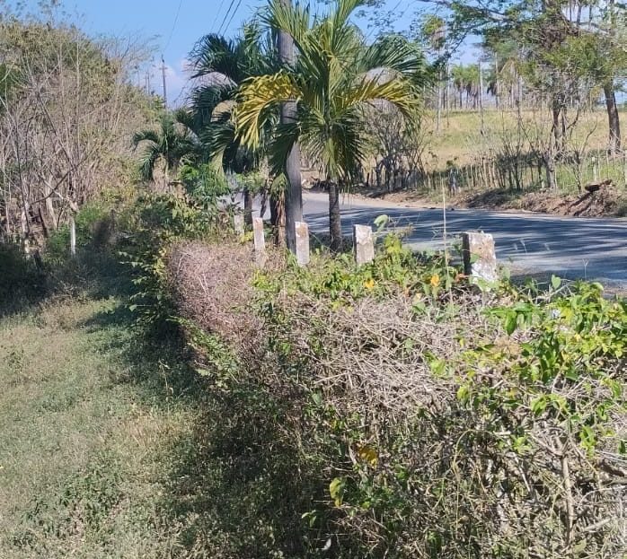 Orotina For Sale 23132 | RE/MAX Costa Rica Real Estate