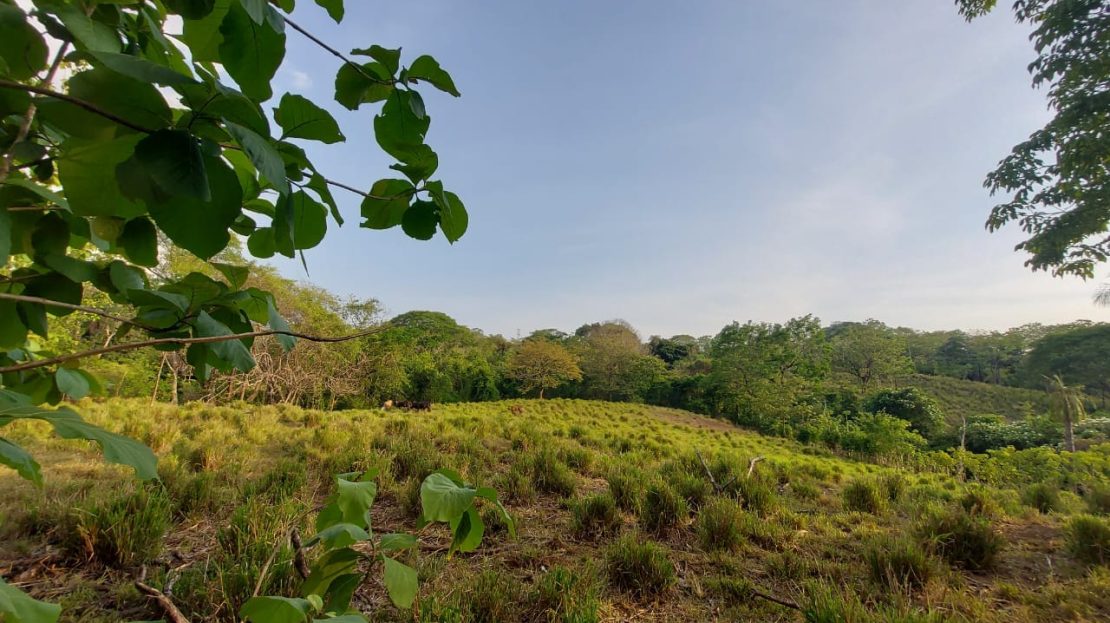 Orotina For Sale 23138 | RE/MAX Costa Rica Real Estate