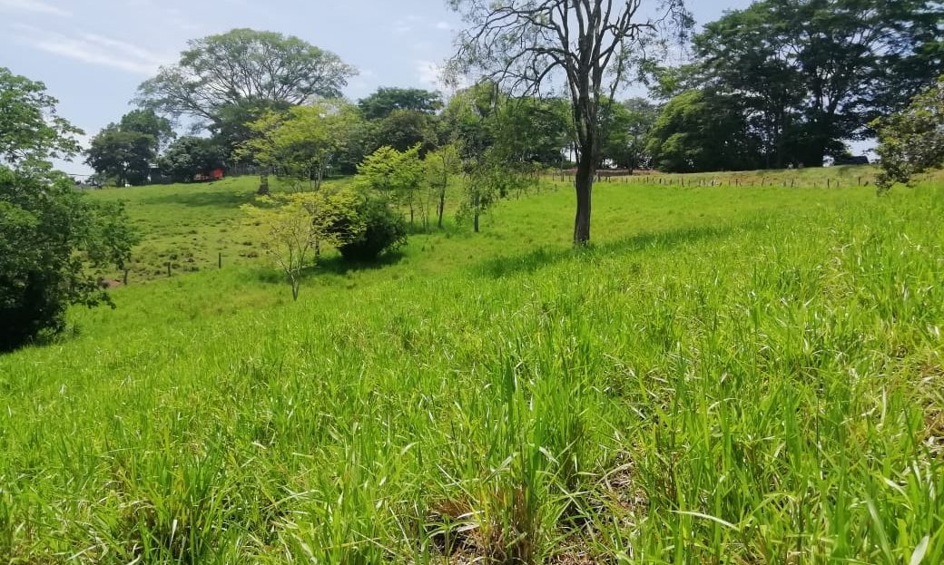 Orotina For Sale 23143 | RE/MAX Costa Rica Real Estate