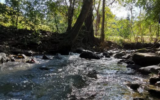 Eco Lot | Turrubares | River