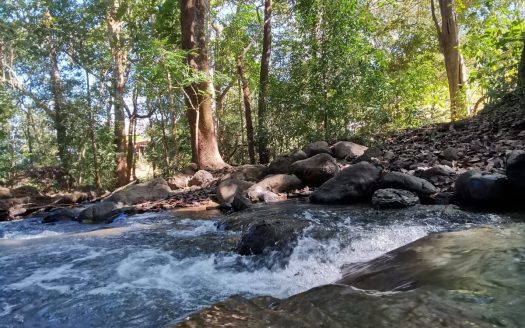 Orotina For Sale 23542 | RE/MAX Costa Rica Real Estate