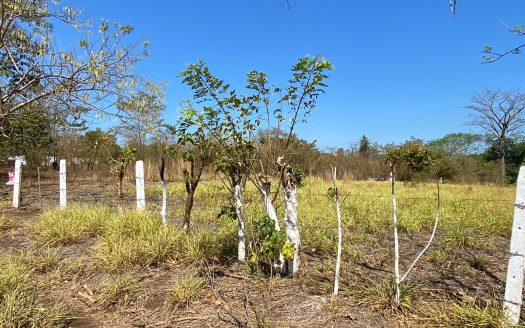 PERFECT COMMERCIAL PROPERTY FOR YOUR NEXT INVESTMENT – DIRECT ACCESS TO ROUTE 27, ONLY 45 MINUTES FROM SAN JOSE