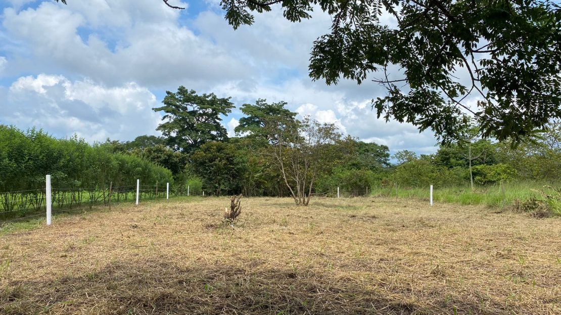 Orotina For Sale 23549 | RE/MAX Costa Rica Real Estate