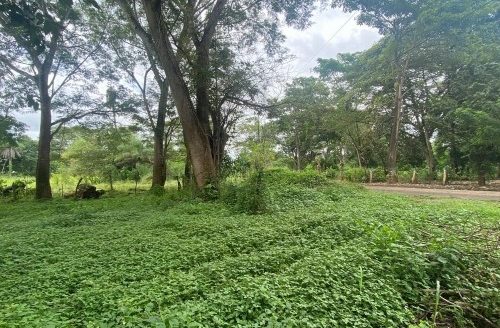 FOR SALE LOTS COYOLAR-OROTINA